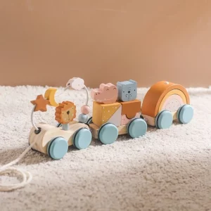 Train en bois montessori bloc arc-en-ciel
