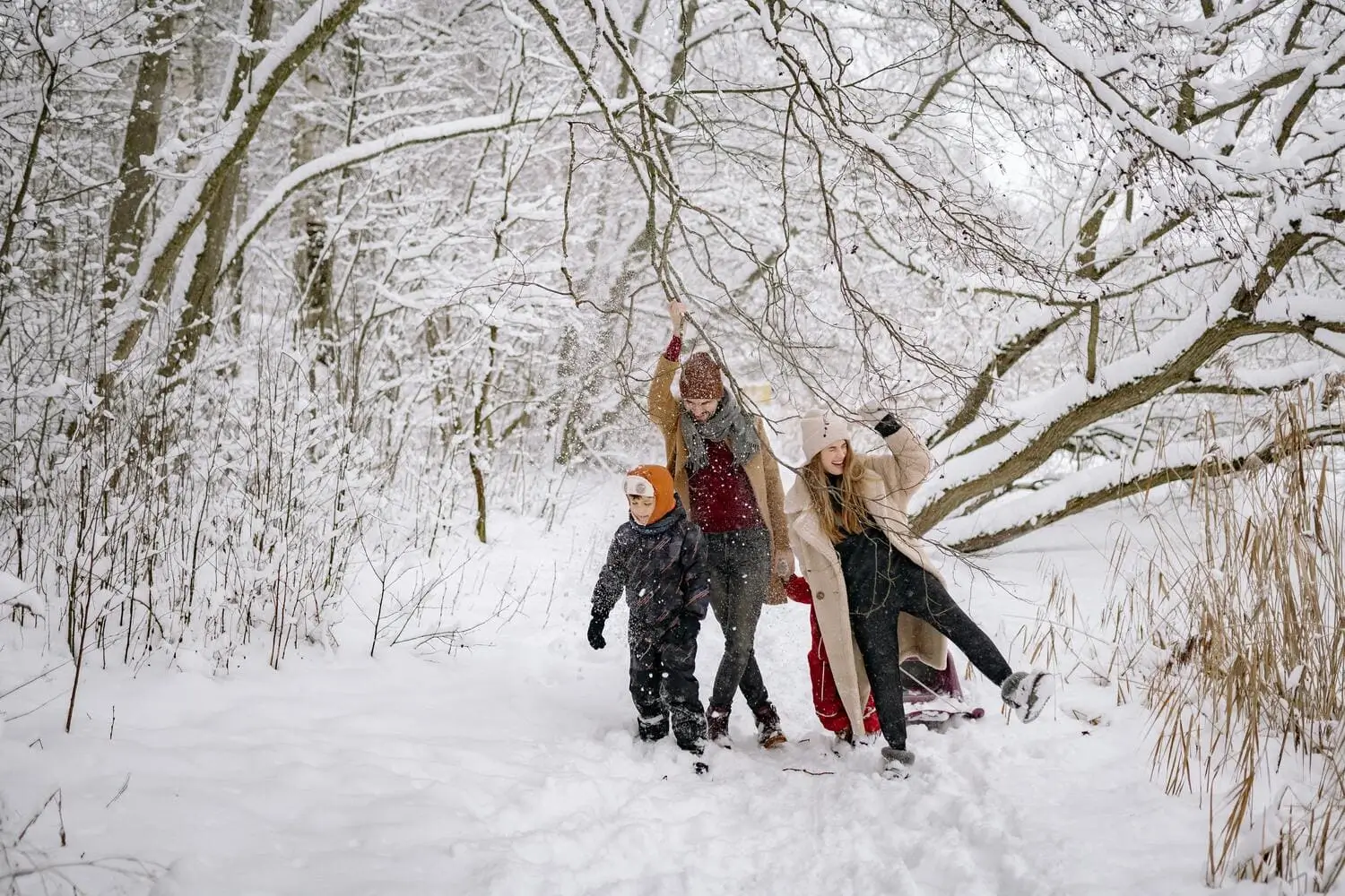 activités à faire en famille pour la nouvelle année